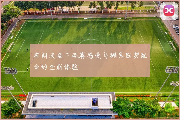 布朗谈场下观赛感受与獭兔默契配合的全新体验