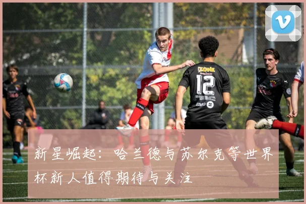 新星崛起：哈兰德与苏尔克等世界杯新人值得期待与关注